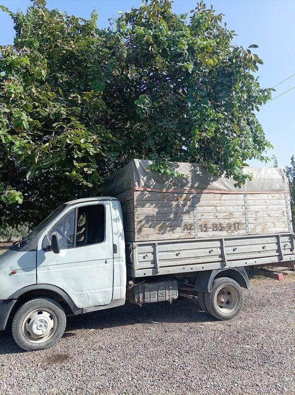 GAZ GAZel (33021), 0.2 L, 2000 il, 200 000 km — Yük maşınları, Cəlilabad (4)