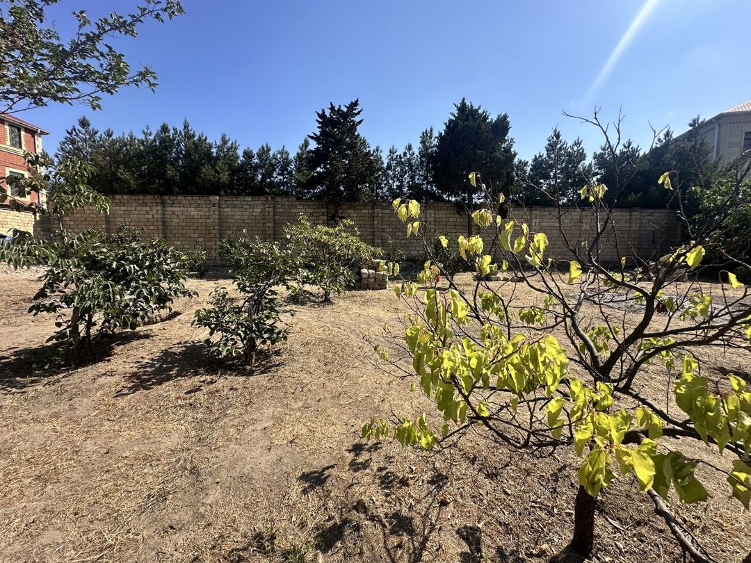 Satılır torpaq 6 sot — Torpaq, Bakı (8)