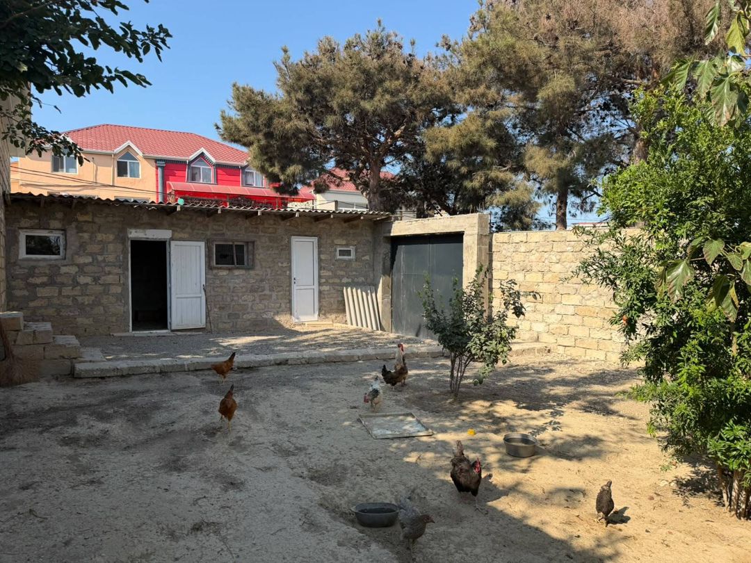 Satılır torpaq 5 sot — Torpaq, Bakı (9)