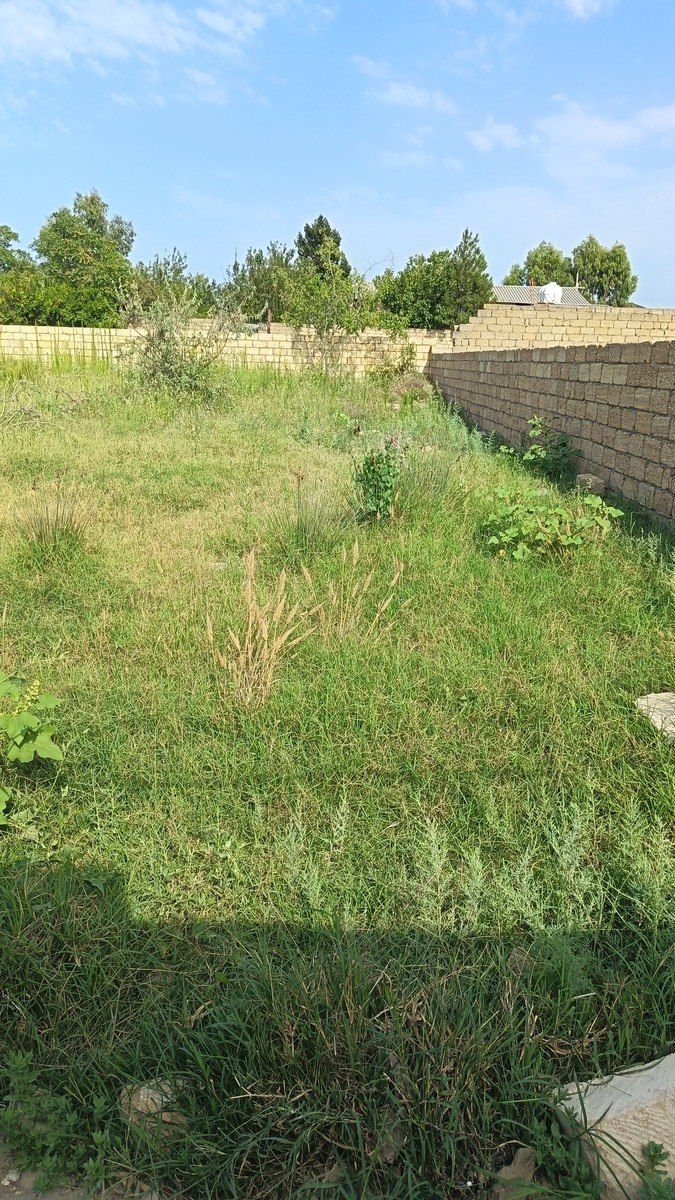 Satılır torpaq 4 sot — Torpaq, Bakı (7)