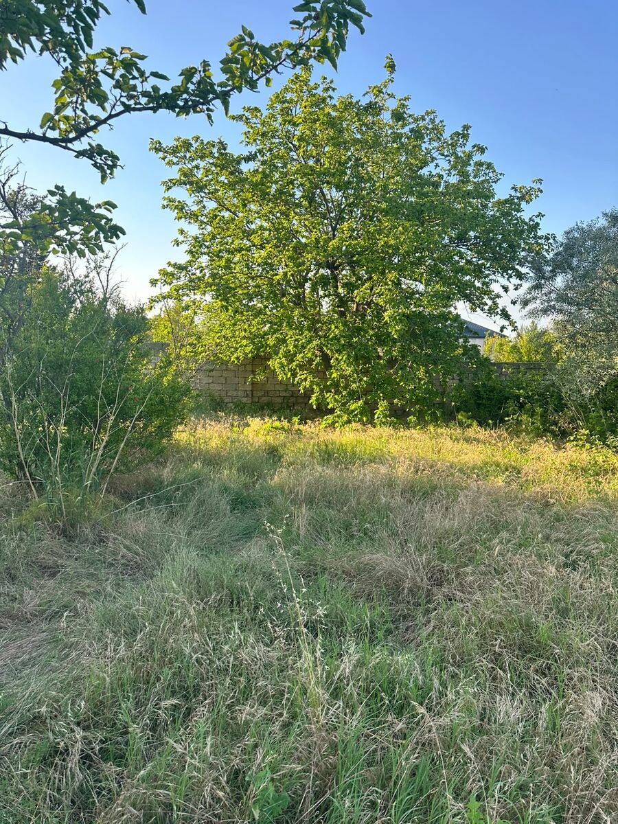 Satılır torpaq 3 sot — Torpaq, Bakı (2)
