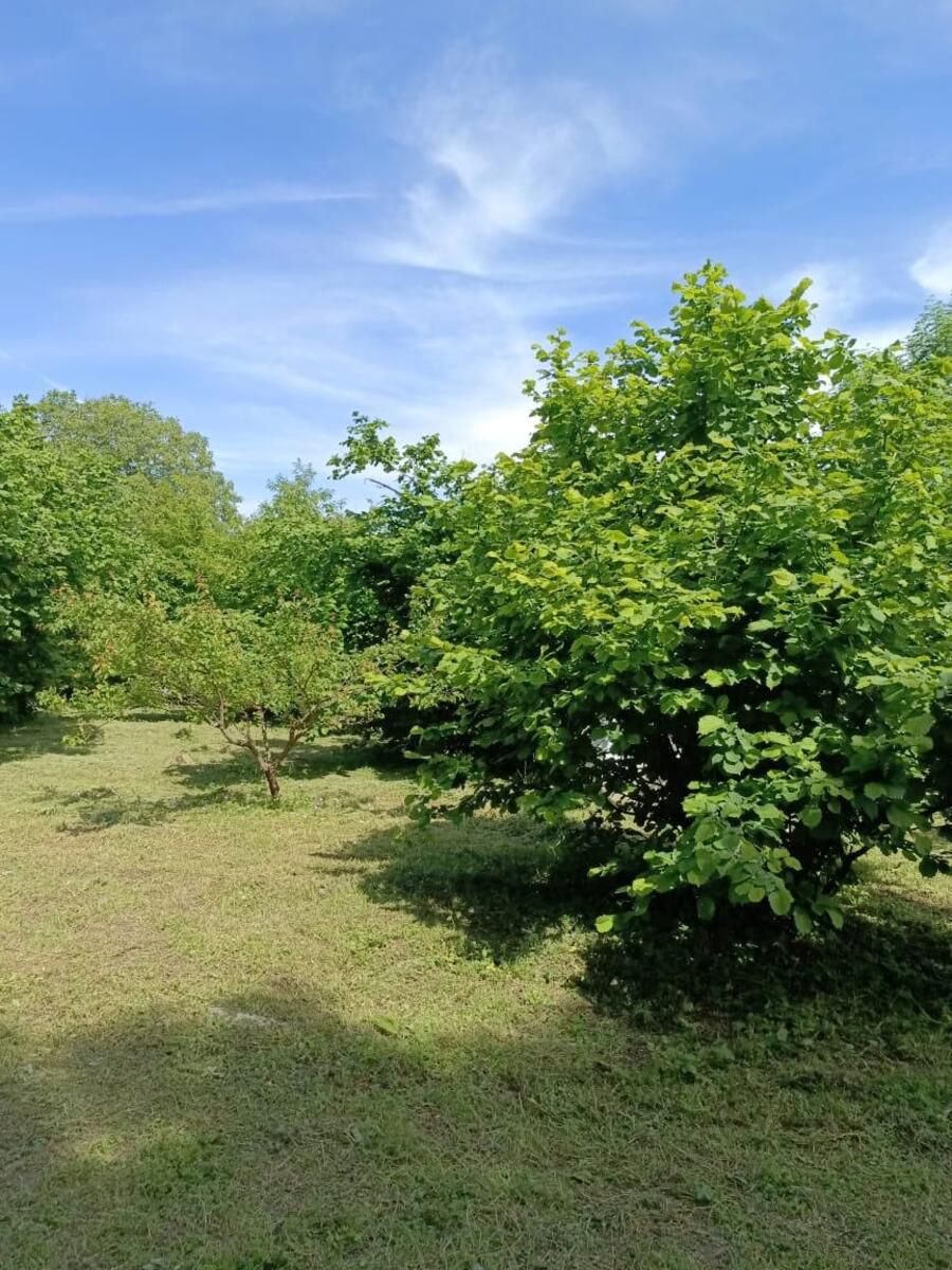 İcarəyə verilir 4 otaqlı həyət evi/bağ evi 140 m² — Ev, villa, Qəbələ (12)