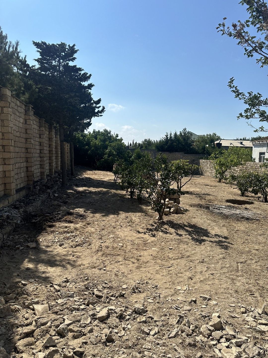 Satılır torpaq 6 sot — Torpaq, Bakı (3)