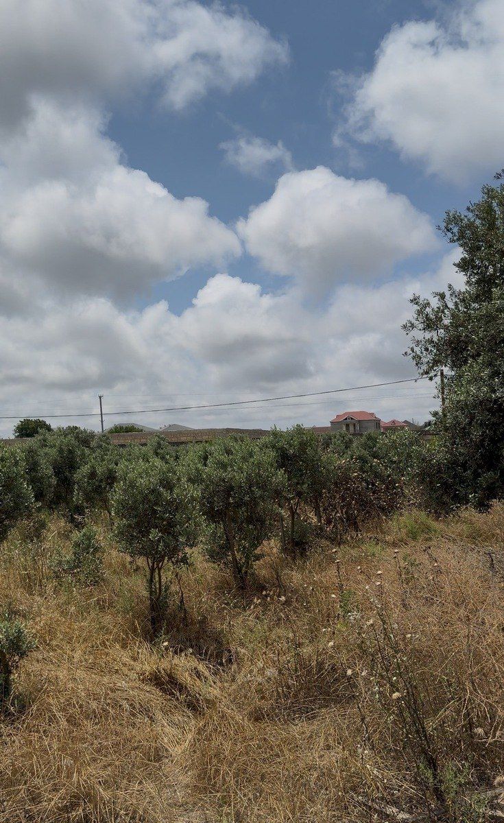 Satılır torpaq 10 sot — Torpaq, Bakı (2)