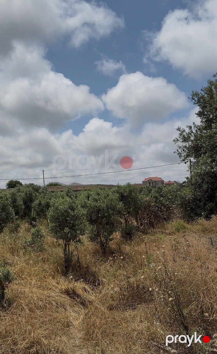 Satılır torpaq 10 sot — Torpaq, Bakı (2)