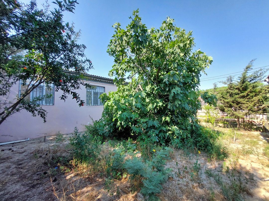 Satılır 4 otaqlı həyət evi/bağ evi 147 m² — Ev, villa, Bakı (6)