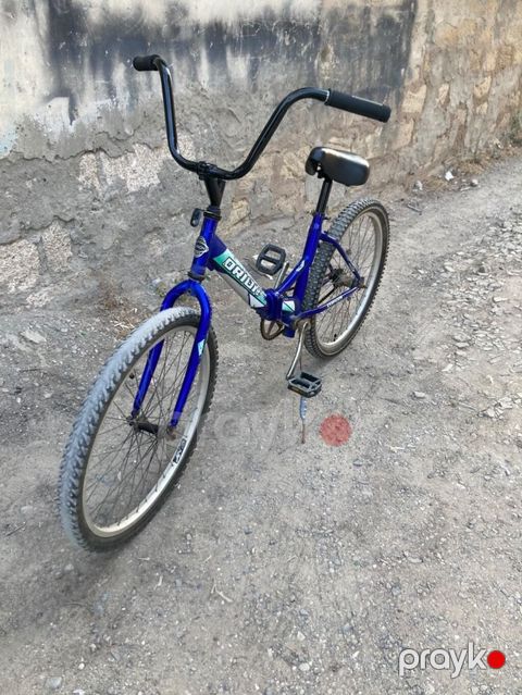 Uşaq/yeyniyetmə üçün Orion velosipedi - Rəng: mavi, kontrast qara