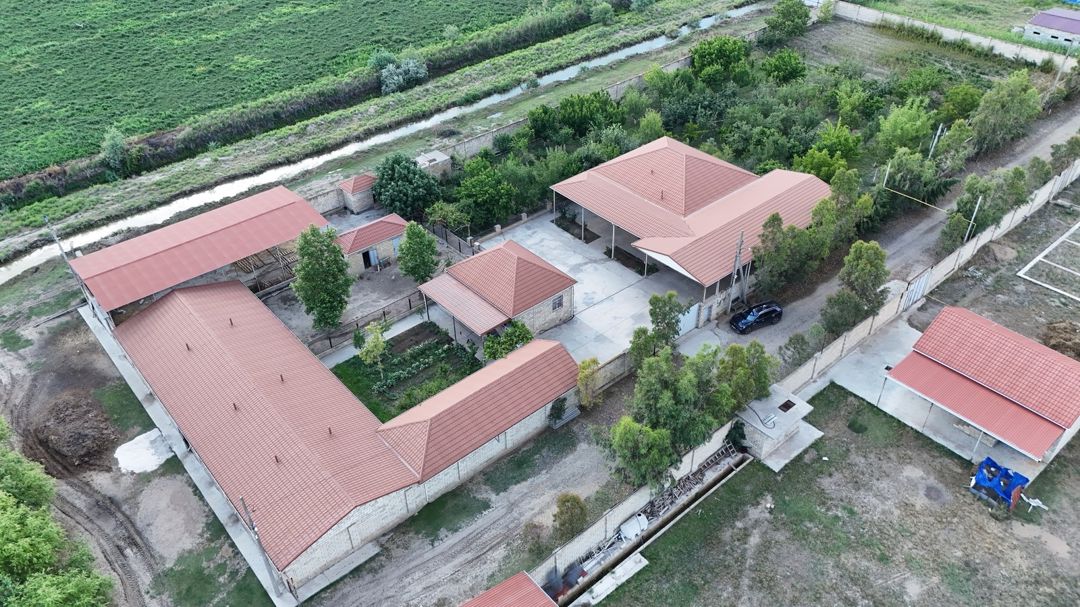 Satılır obyekt 1000 m² — Əmlak, Bakı (2)
