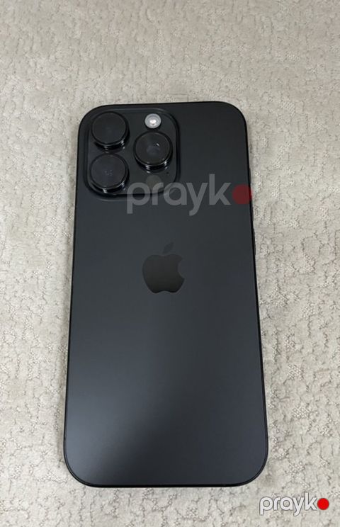 IPhone 16 Pro, Qara