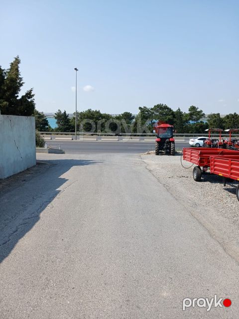 10 sot torpaq sahəsi, Saray qəs.