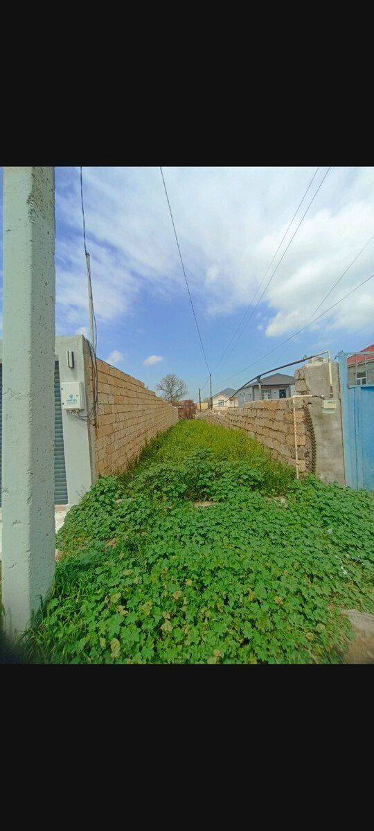 8.5 sot torpaq sahəsi, Saray qəs. — Torpaq, Bakı (5)