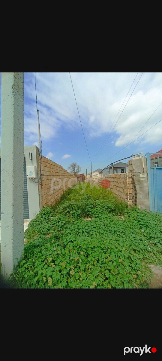 8.5 sot torpaq sahəsi, Saray qəs. — Torpaq, Bakı (5)
