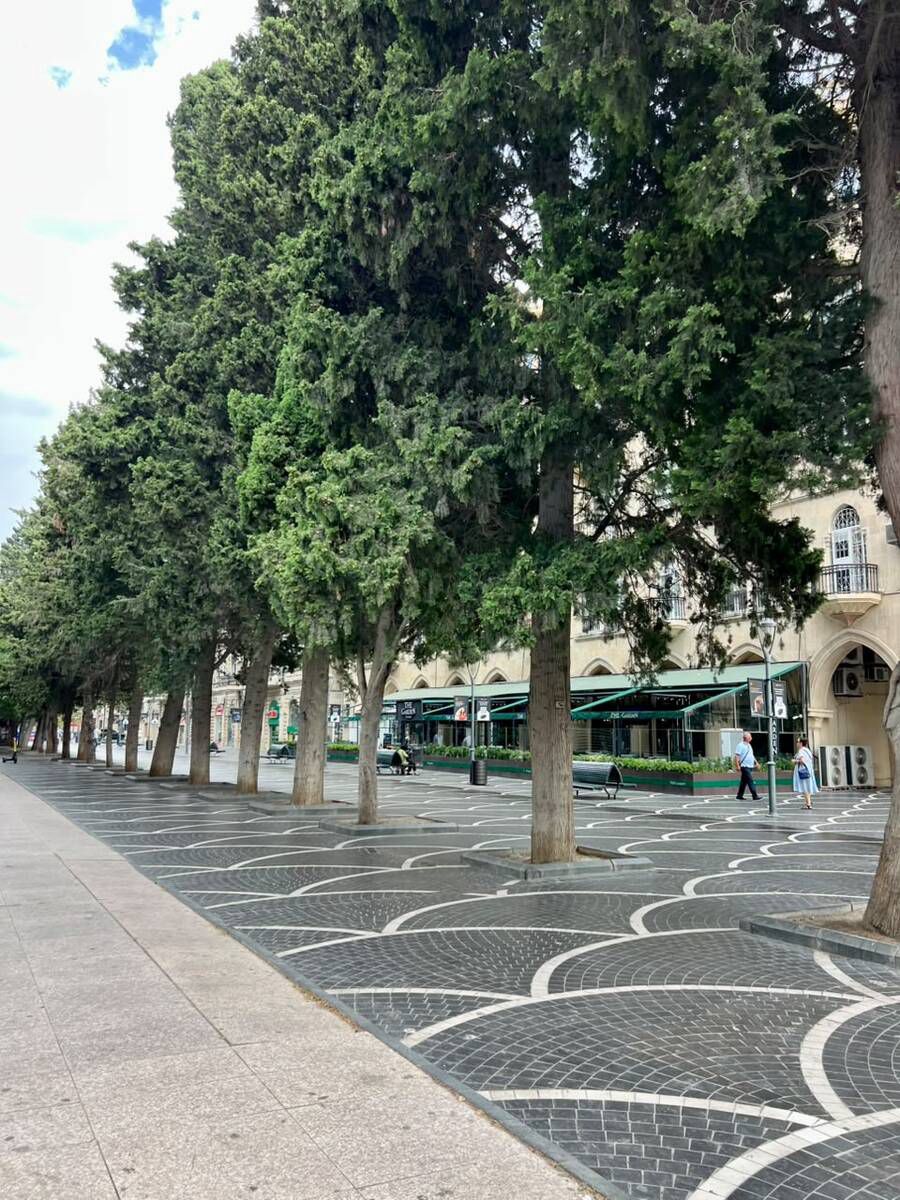 İcarəyə verilir 3 otaqlı ofis 80 m² — Ofis, Bakı (7)