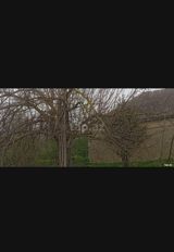Kənd təsərrüfatı, Makler, Kupça (Çıxarış) — Land plot