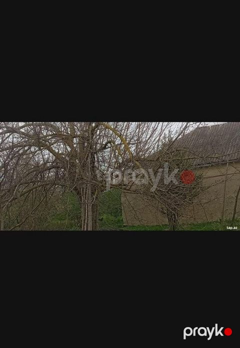 Kənd təsərrüfatı, Makler, Kupça (Çıxarış)