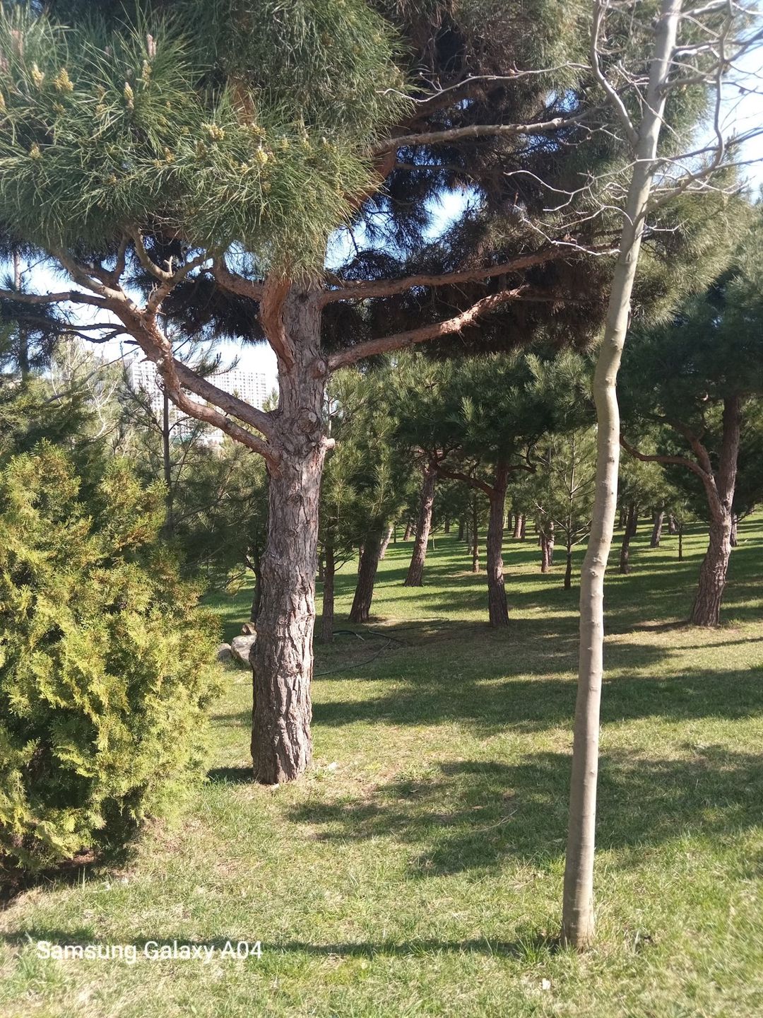Satılır 2 otaqlı yeni tikili 55 m² — Mənzil, Bakı (4)