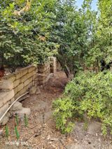 1.5 sot torpaq sahəsi, Saray qəs. — Участок