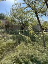 Satılır torpaq 5.5 sot — Real estate