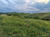 8 sot torpaq sahəsi, Göygöl r. — Участок