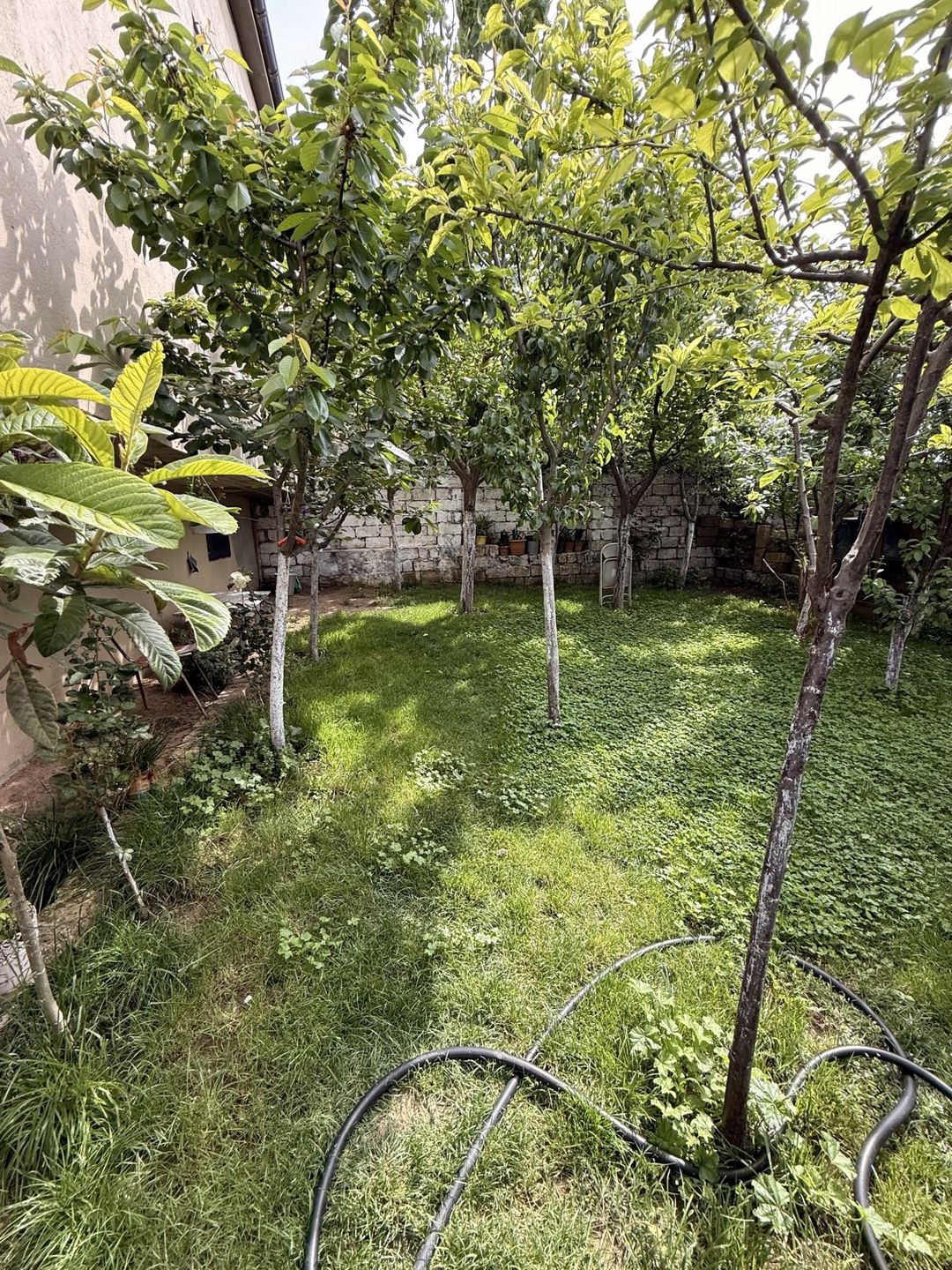 Satılır 4 otaqlı həyət evi/bağ evi 210 m² — Ev, villa, Bakı (4)