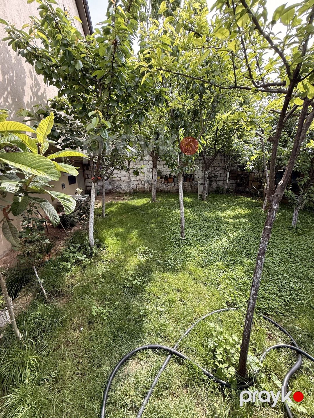 Satılır 4 otaqlı həyət evi/bağ evi 210 m² — Ev, villa, Bakı (4)