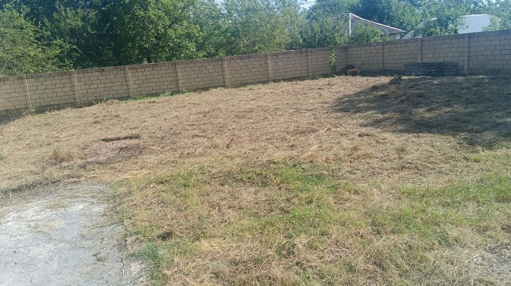 5 sot, Biznes üçün, Mülkiyyətçi, Kupça (Çıxarış) — Torpaq, Qəbələ (9)