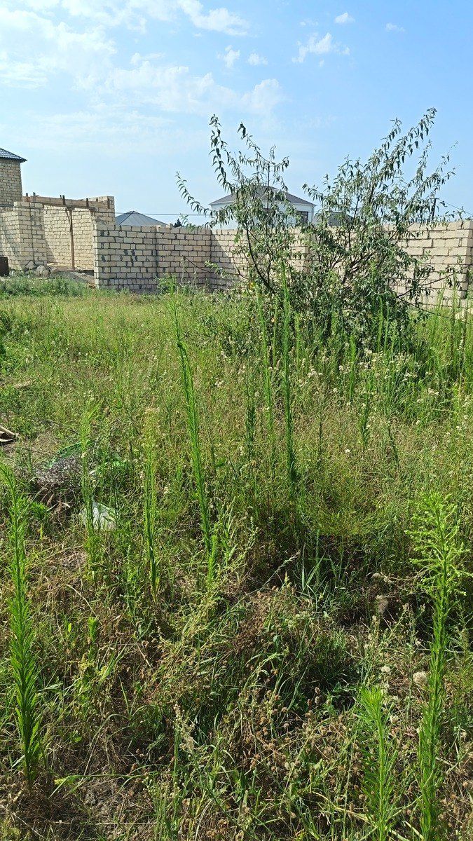 Satılır torpaq 4 sot — Torpaq, Bakı (6)