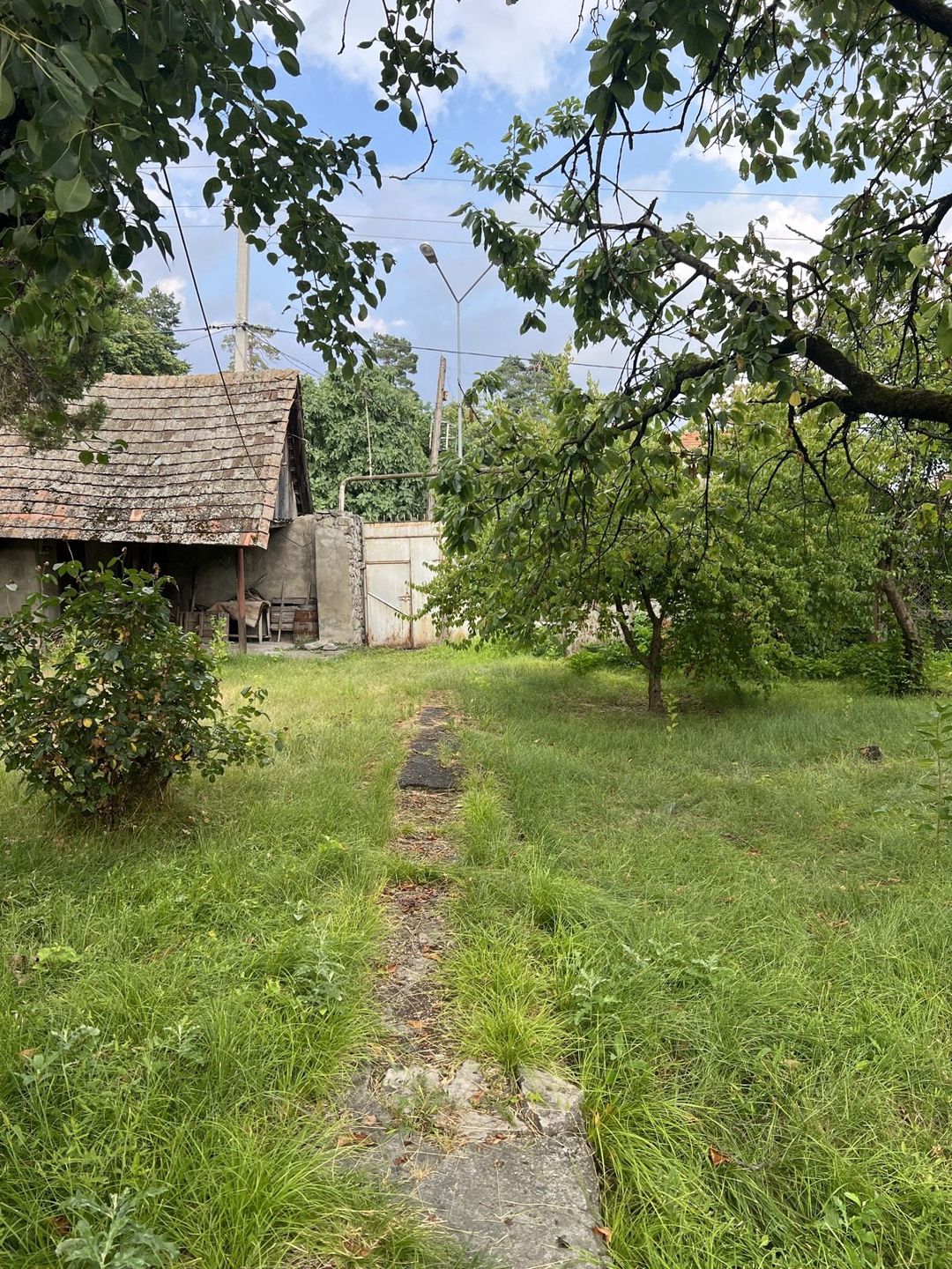 Satılır torpaq 6 sot — Torpaq, Oğuz (2)