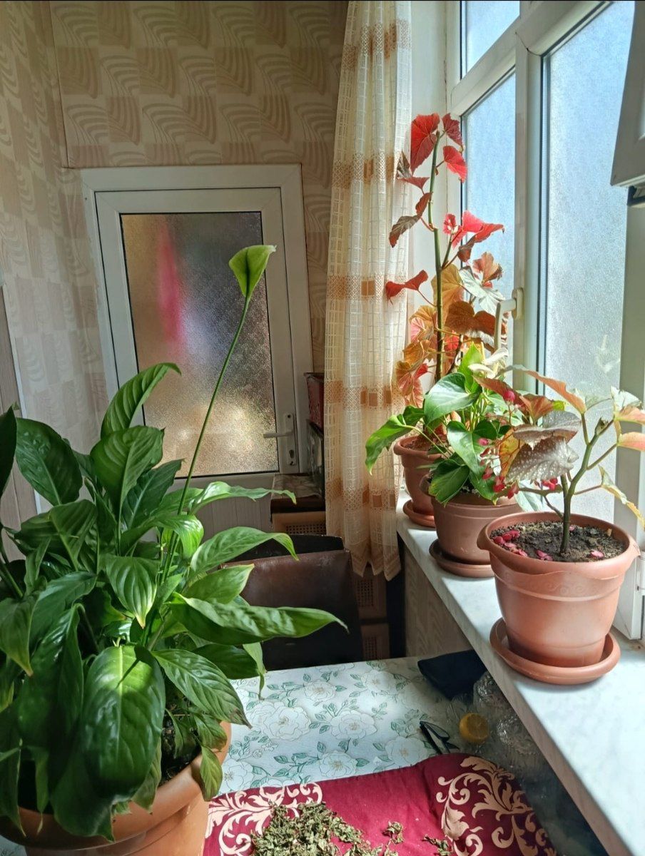 Satılır 2 otaqlı köhnə tikili 47 m² — Mənzil, Bakı (11)