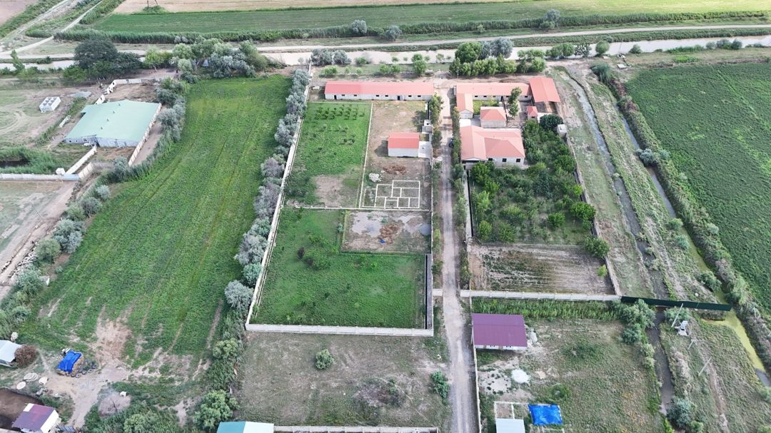 Satılır obyekt 1000 m² — Əmlak, Bakı (8)