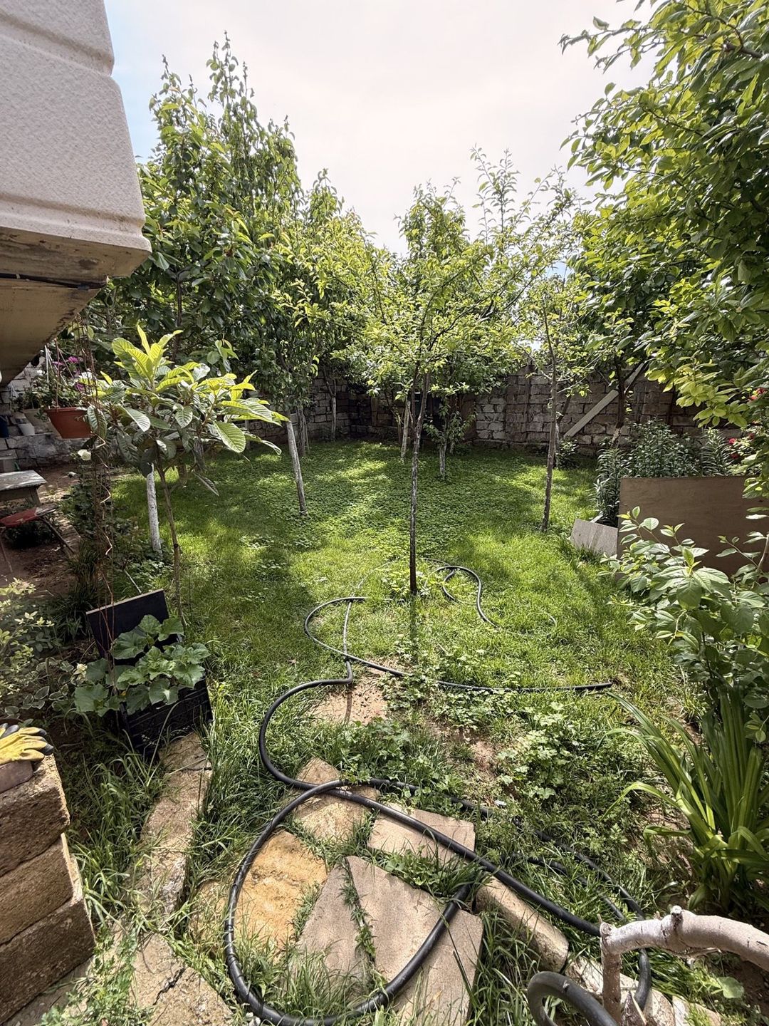 Satılır 4 otaqlı həyət evi/bağ evi 210 m² — Ev, villa, Bakı (3)
