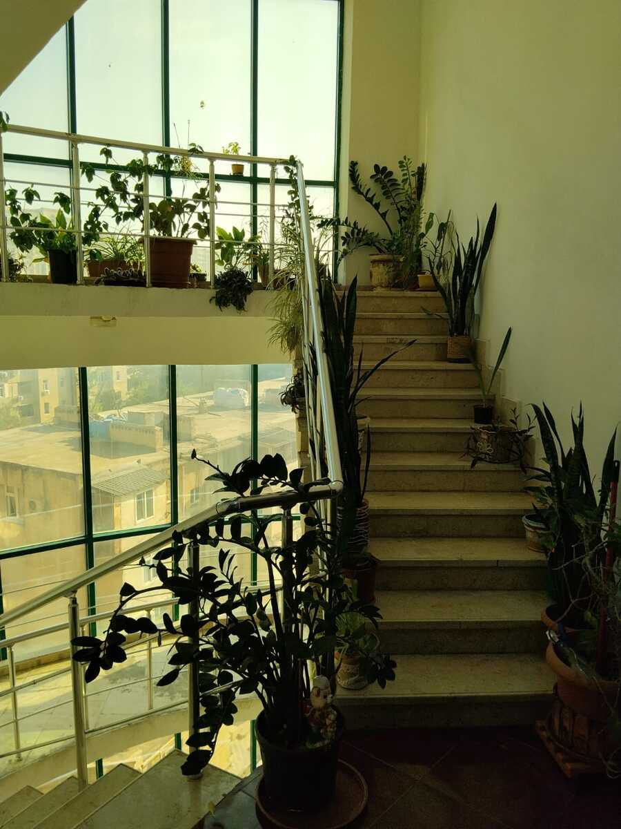 Satılır 3 otaqlı yeni tikili 156 m² — Mənzil, Bakı (12)