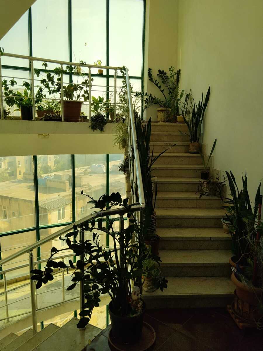 Satılır 3 otaqlı yeni tikili 156 m² — Mənzil, Bakı (8)