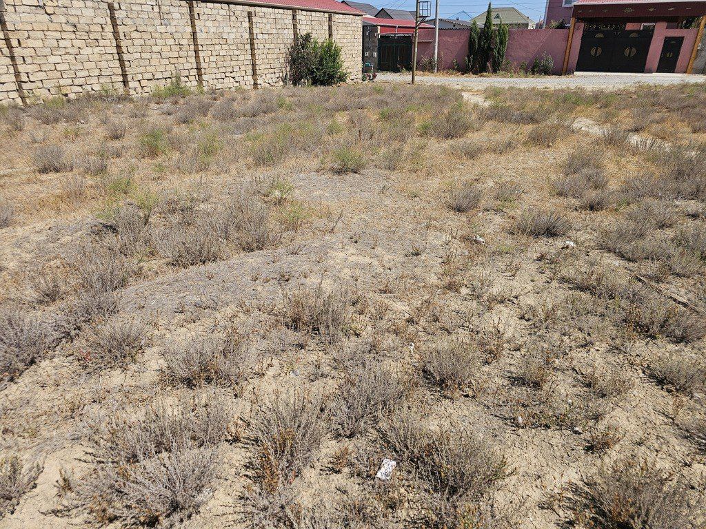 Satılır torpaq 6 sot — Torpaq, Bakı (7)
