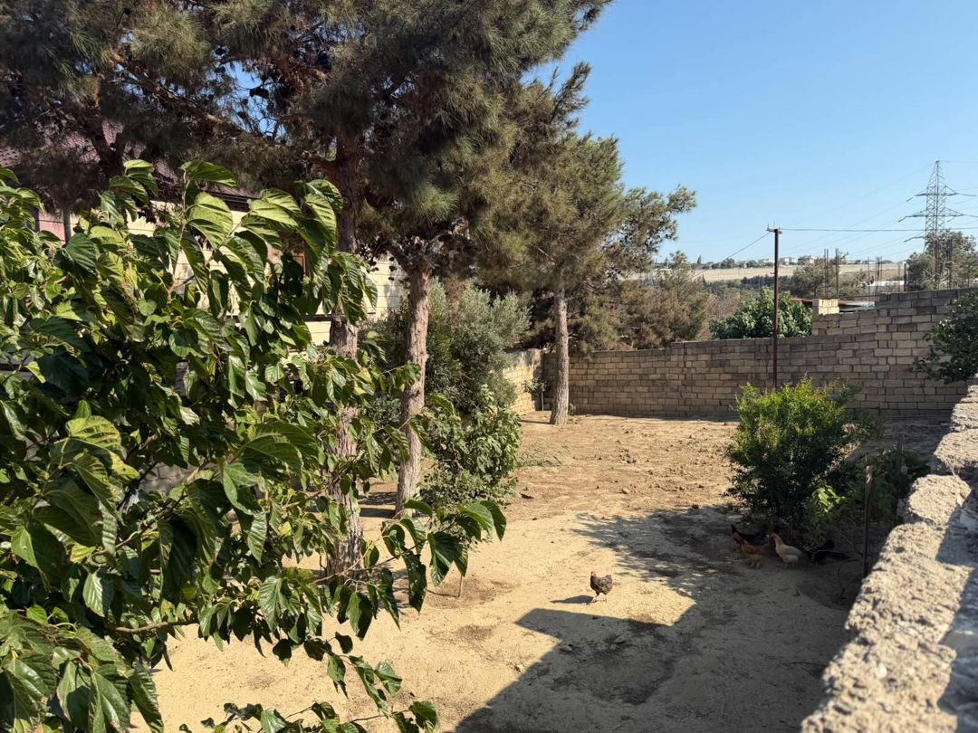 Satılır torpaq 5 sot — Torpaq, Bakı (4)