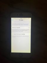 Apple iPhone 6 Gold 16GB — Mallar