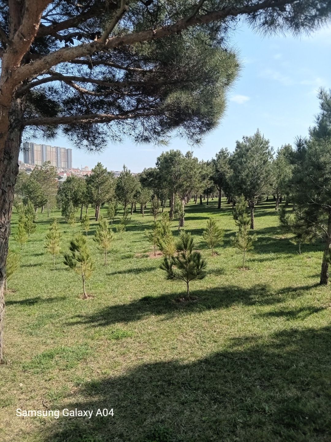 Satılır 2 otaqlı yeni tikili 55 m² — Mənzil, Bakı (3)