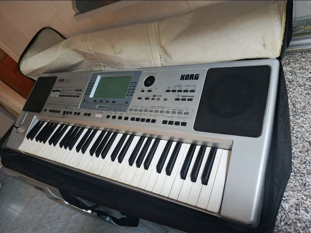 Korg Pa50 SD aranjor sintezator - 61 klaviş, toxunuşa həssas — Mallar, Bakı (2)