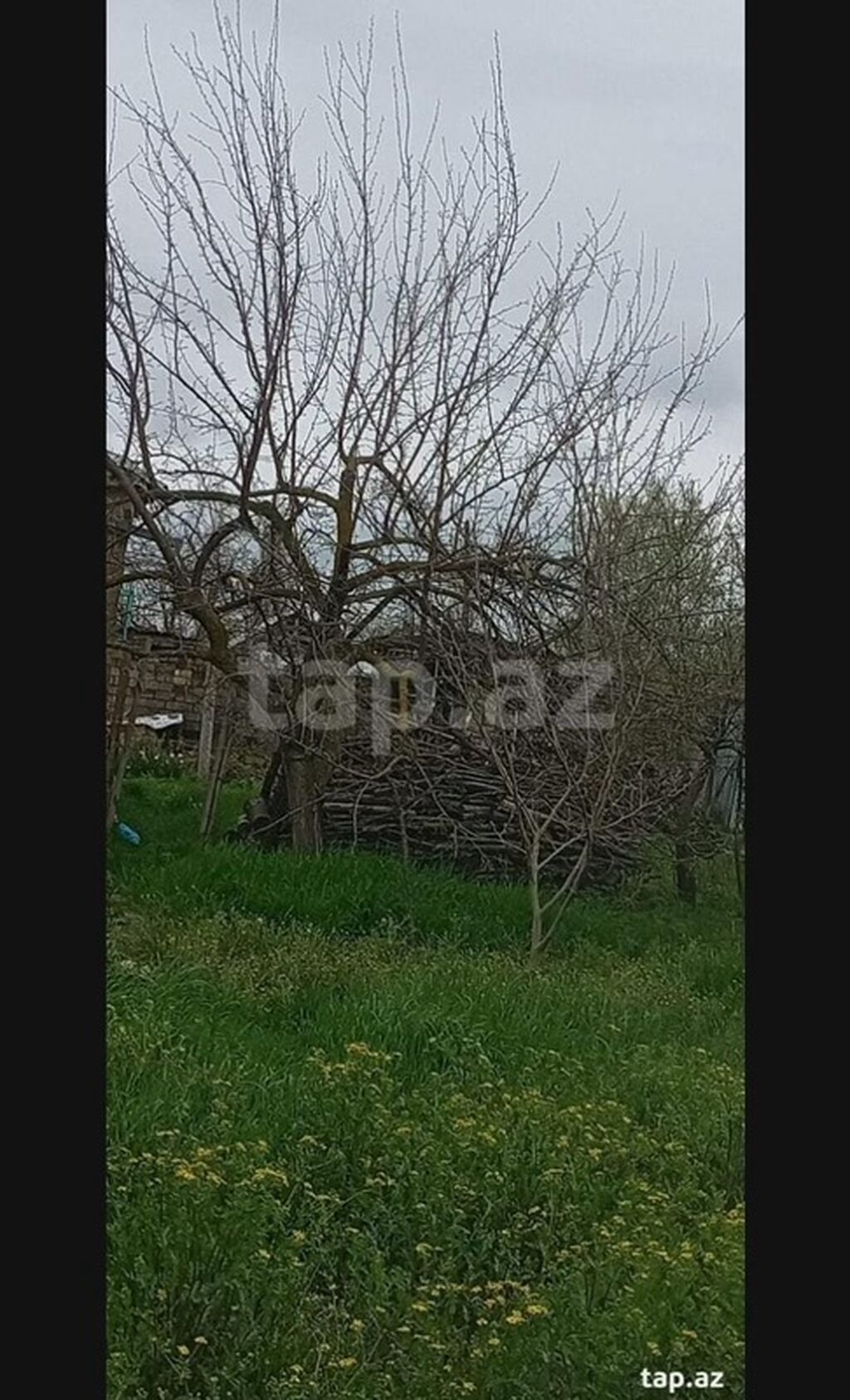Kənd təsərrüfatı, Makler, Kupça (Çıxarış) — Torpaq, Xaçmaz (2)