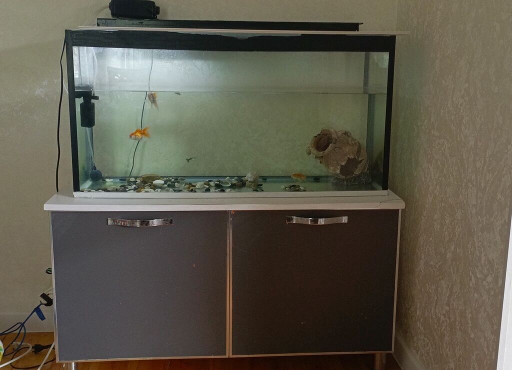 Akvarium və şkaf dəsti Akvarium: - Ölçülər: uzunluq 1 metr, hündürlük — Heyvanlar, Bakı (2)