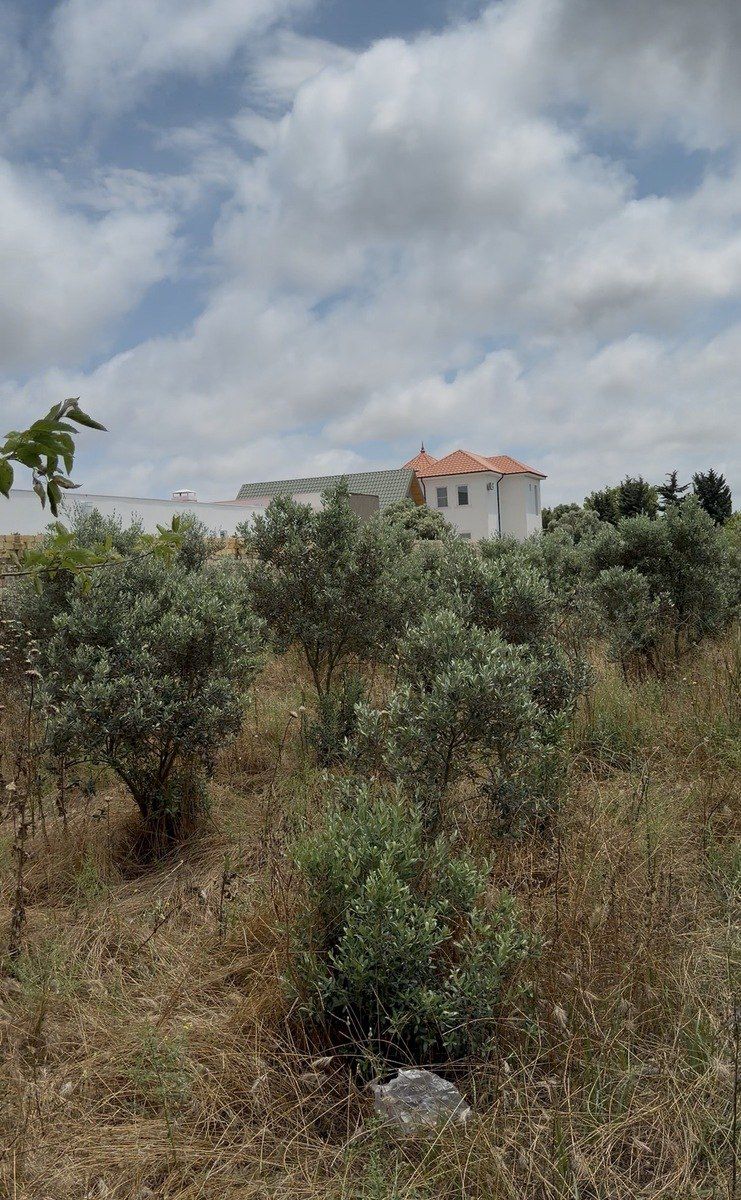 Satılır torpaq 10 sot — Torpaq, Bakı
