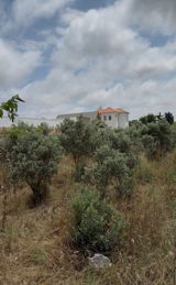 Satılır torpaq 10 sot — Land plot