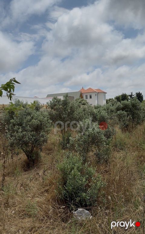 Satılır torpaq 10 sot