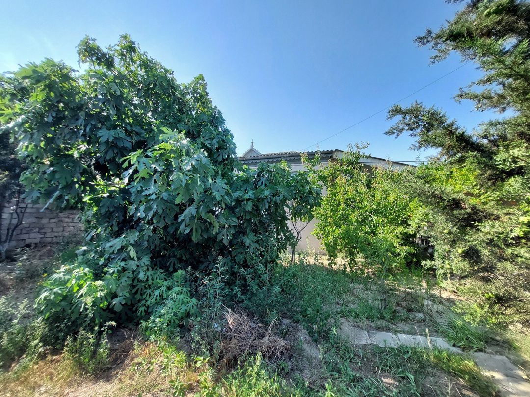 Satılır 4 otaqlı həyət evi/bağ evi 147 m² — Ev, villa, Bakı (5)