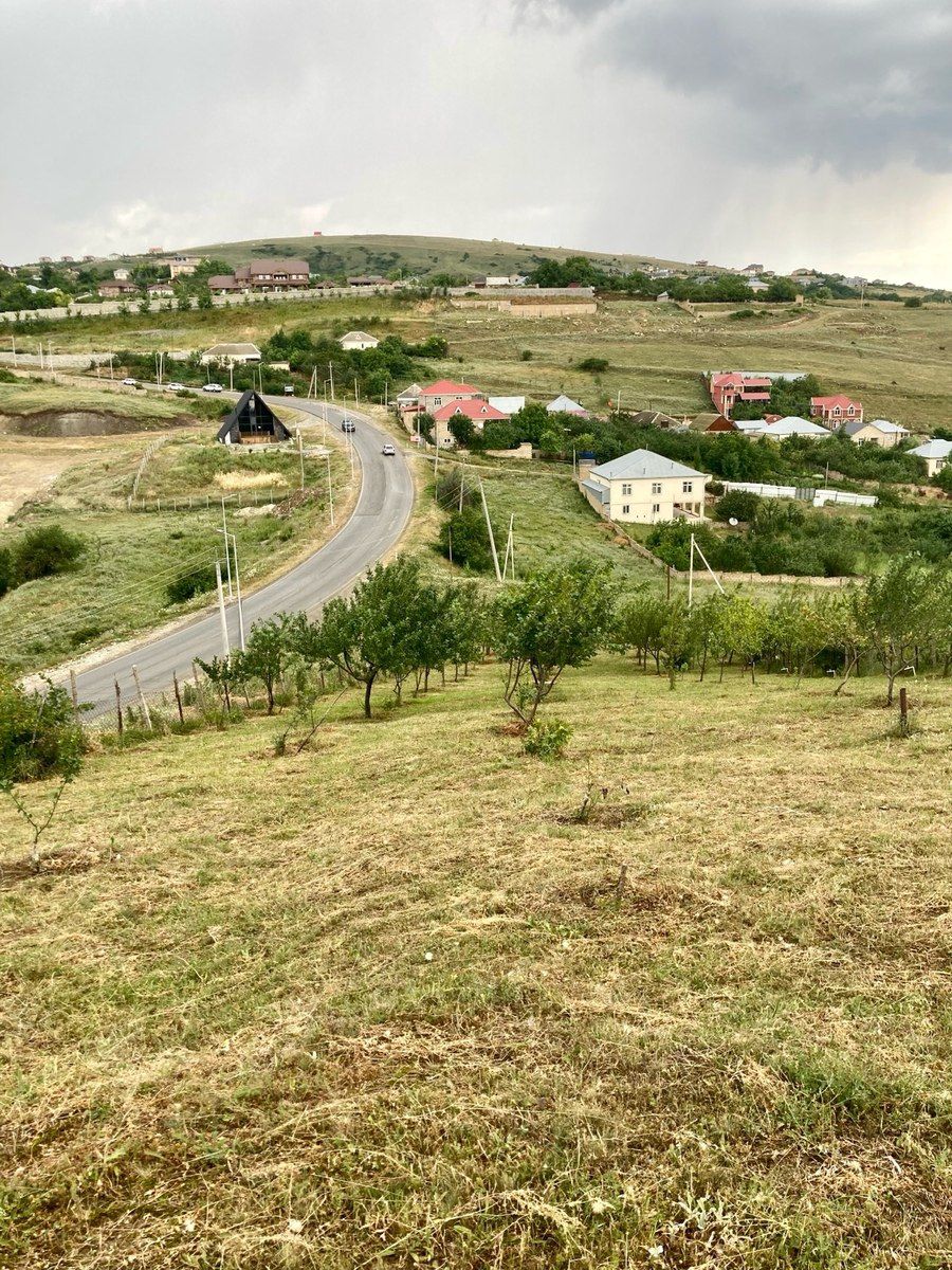12 sot torpaq sahəsi, Şamaxı r. — Torpaq, Şamaxı