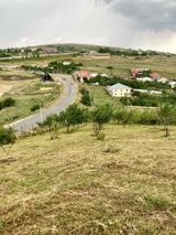 12 sot torpaq sahəsi, Şamaxı r. — Real estate