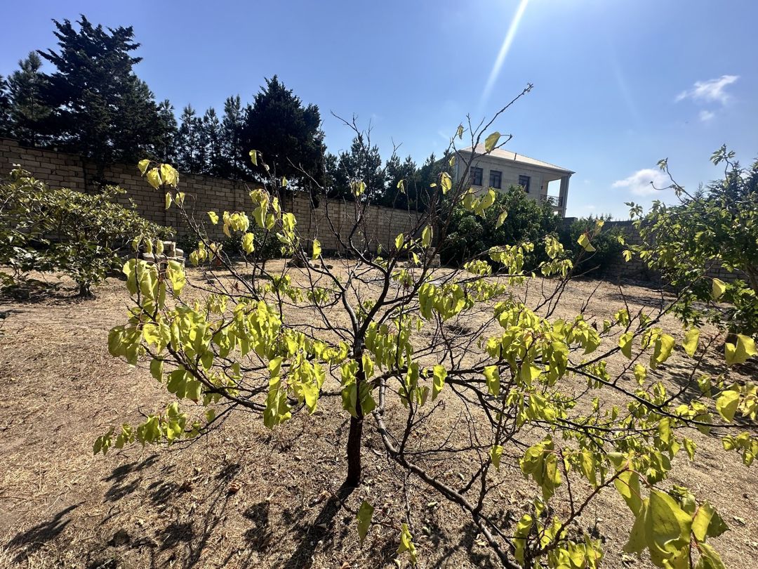 Satılır torpaq 6 sot — Torpaq, Bakı (7)
