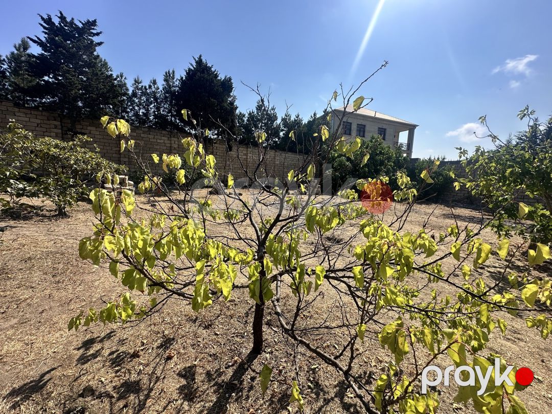 6 sot torpaq sahəsi, Görədil qəs — Torpaq, Bakı (8)