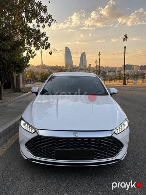 BYD Destroyer 05, 1.5 L, 8.3 kWh, 2024 il, 65 000 km