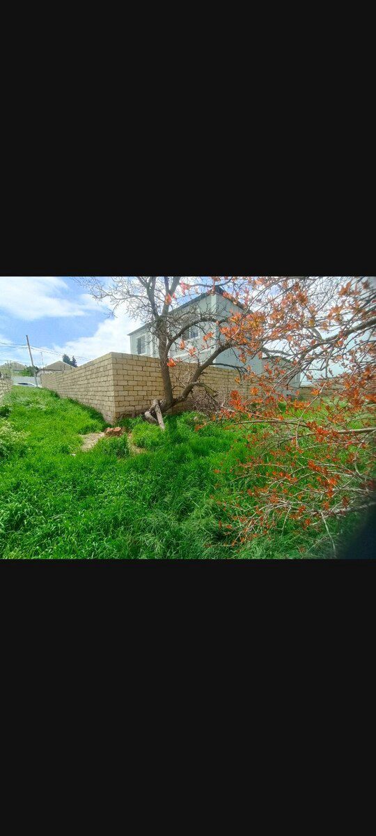 8.5 sot torpaq sahəsi, Saray qəs. — Torpaq, Bakı (2)